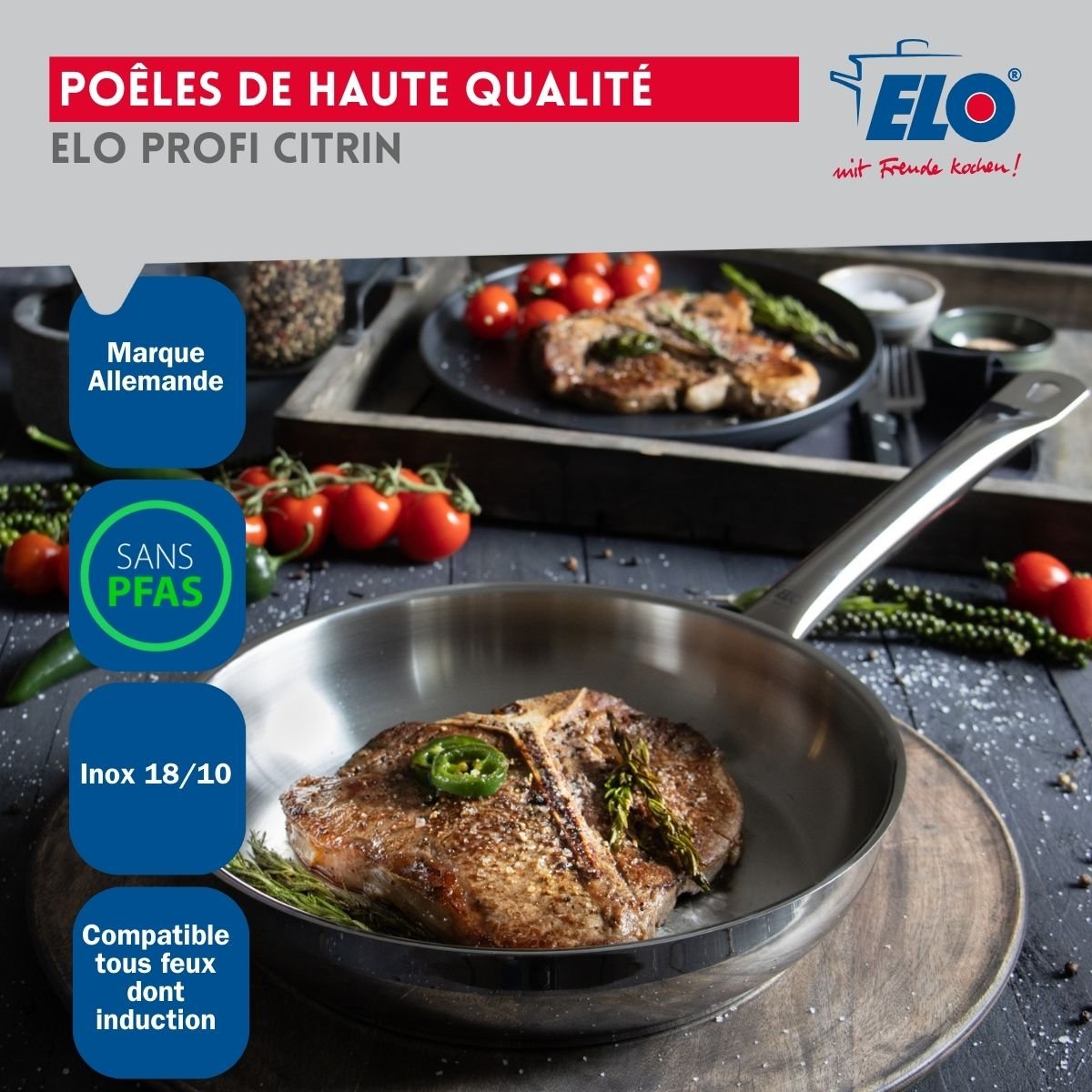 Batterie de cuisine 1 poêle 24cm + 1 faitout 20cm PROFI CITRIN gris, ELO