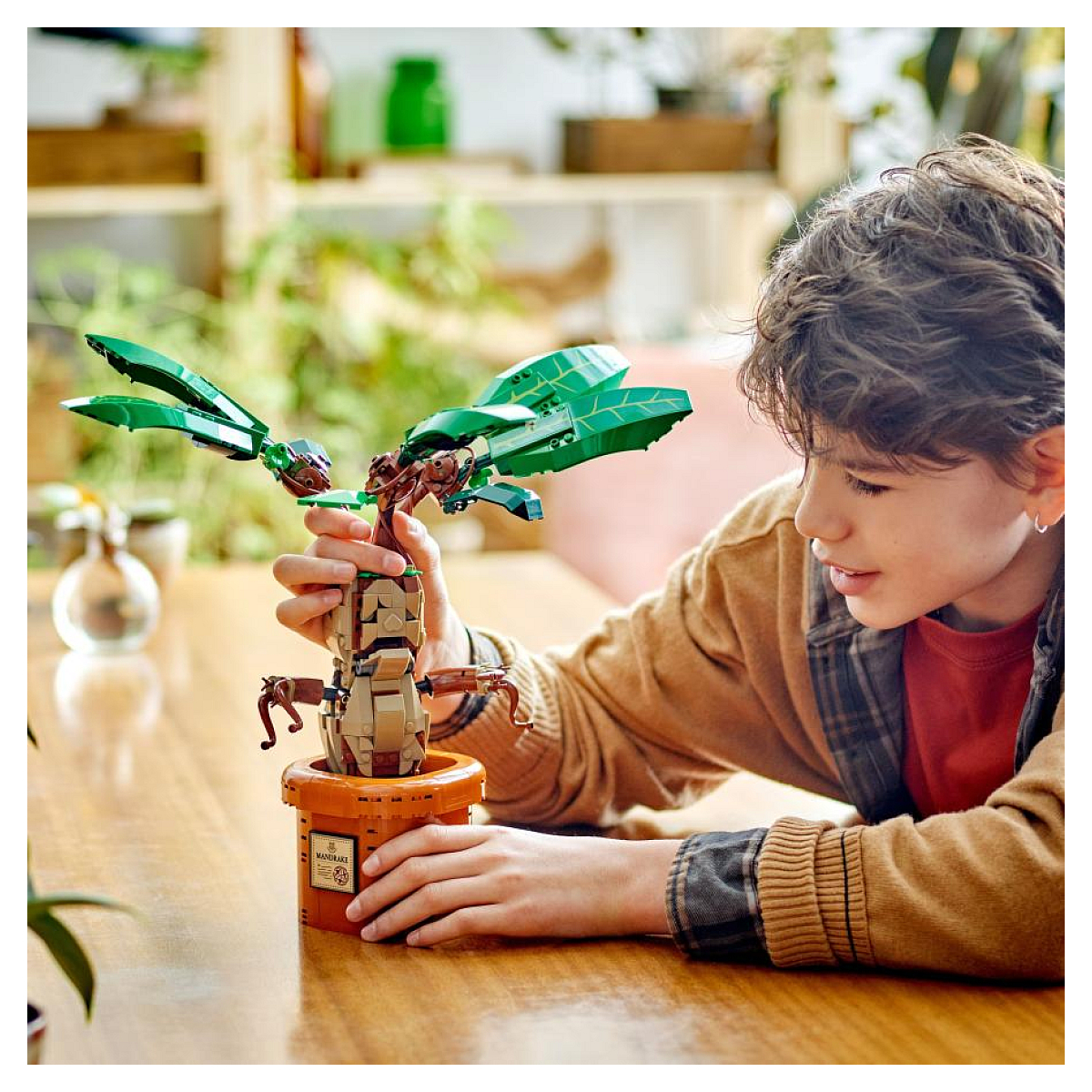 LEGO Harry Potter - Figurine Mandragore 76433 - Plante Magique à Construire multicolore, LEGO