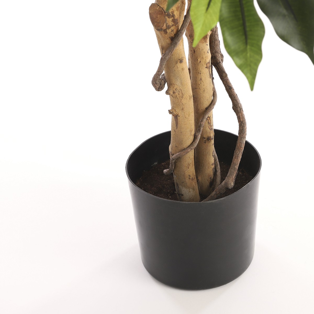 Plante artificielle FICUS vert, MICA DECORATIONS
