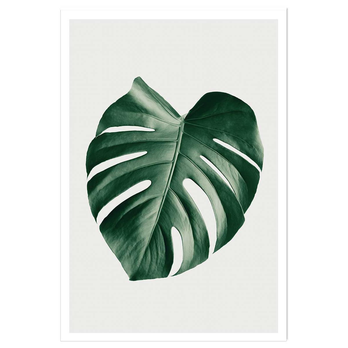 Affiche monstera perfect affiche seule, HEXOA
