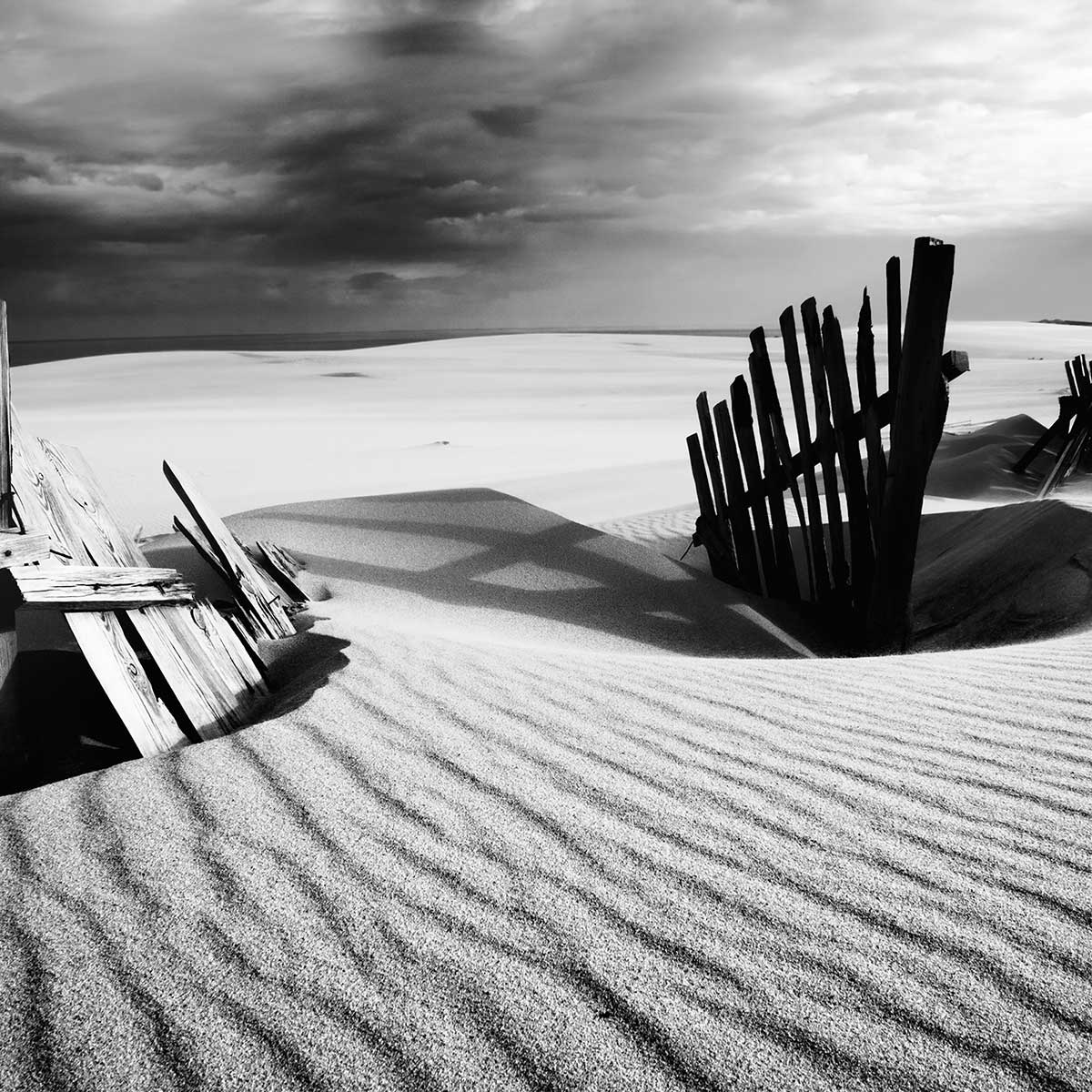 Poster dunes affiche + cadre en bois - noir, HEXOA