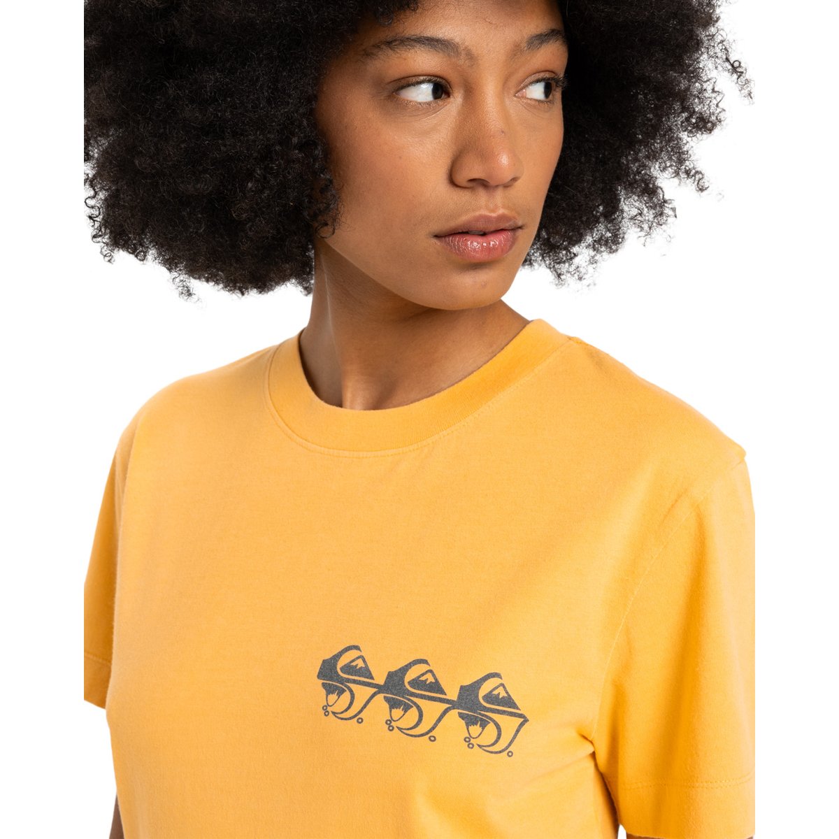 T-shirt à manches courtes STANDARD orange chamois, QUIKSILVER