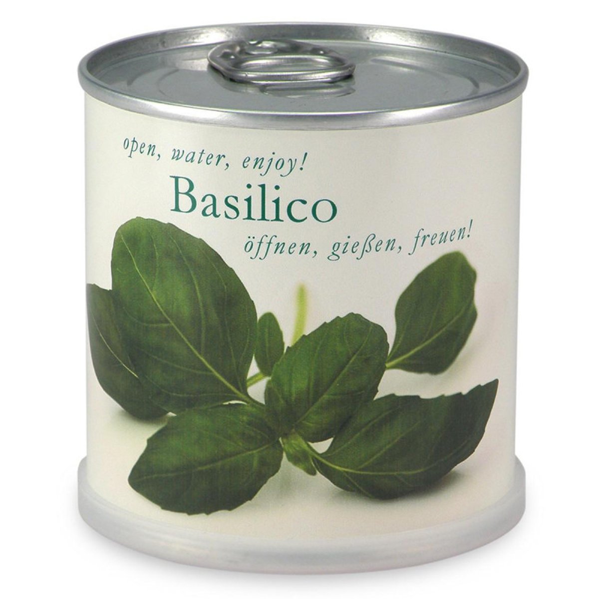 Basilic à faire pousser en boite couleur unique, MAC FLOWERS