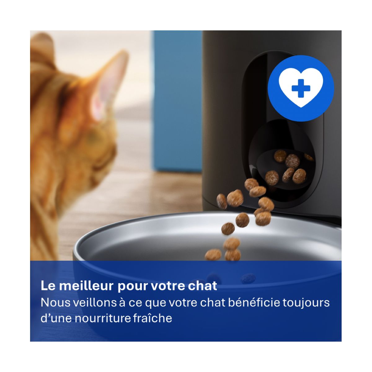 Distributeur de croquettes pour PAW0020/01 sachets x12 couleur unique, PHILIPS