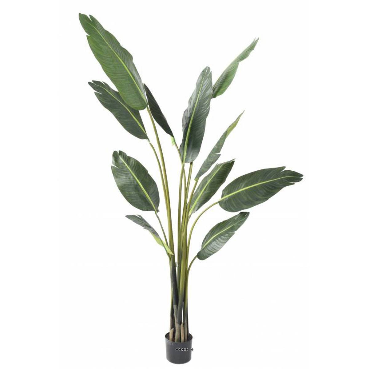 Palmier Arbre du voyageur artificiel H 195 cm vert, ARTIFICIELLES
