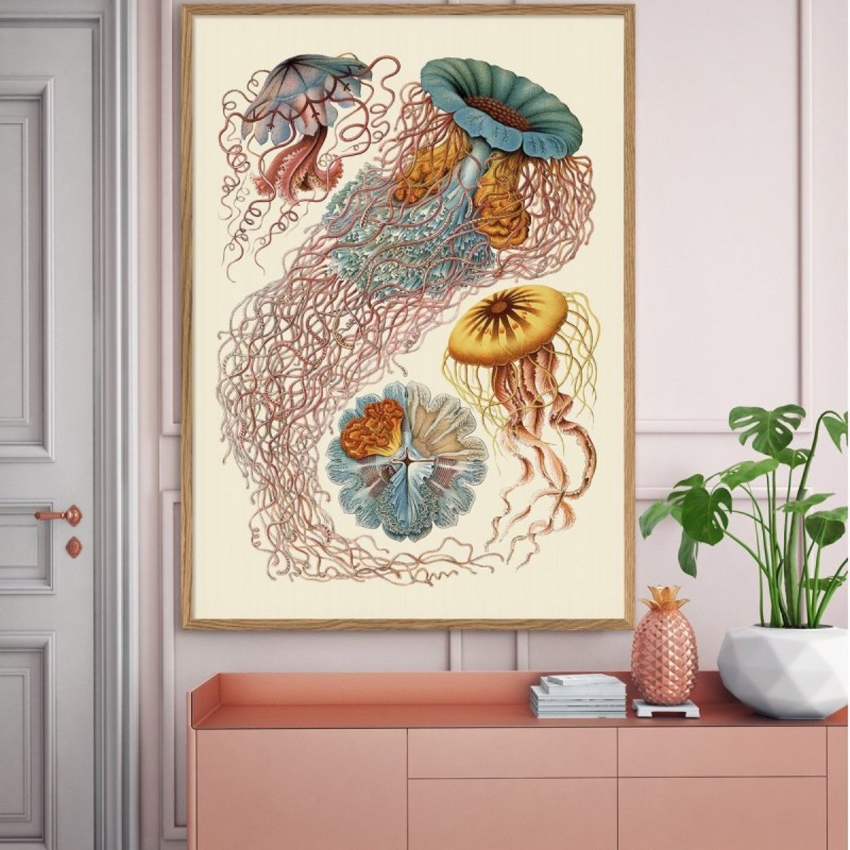 Affiche vintage méduses Discomedusae multicolore, THE DYBDAHL CO