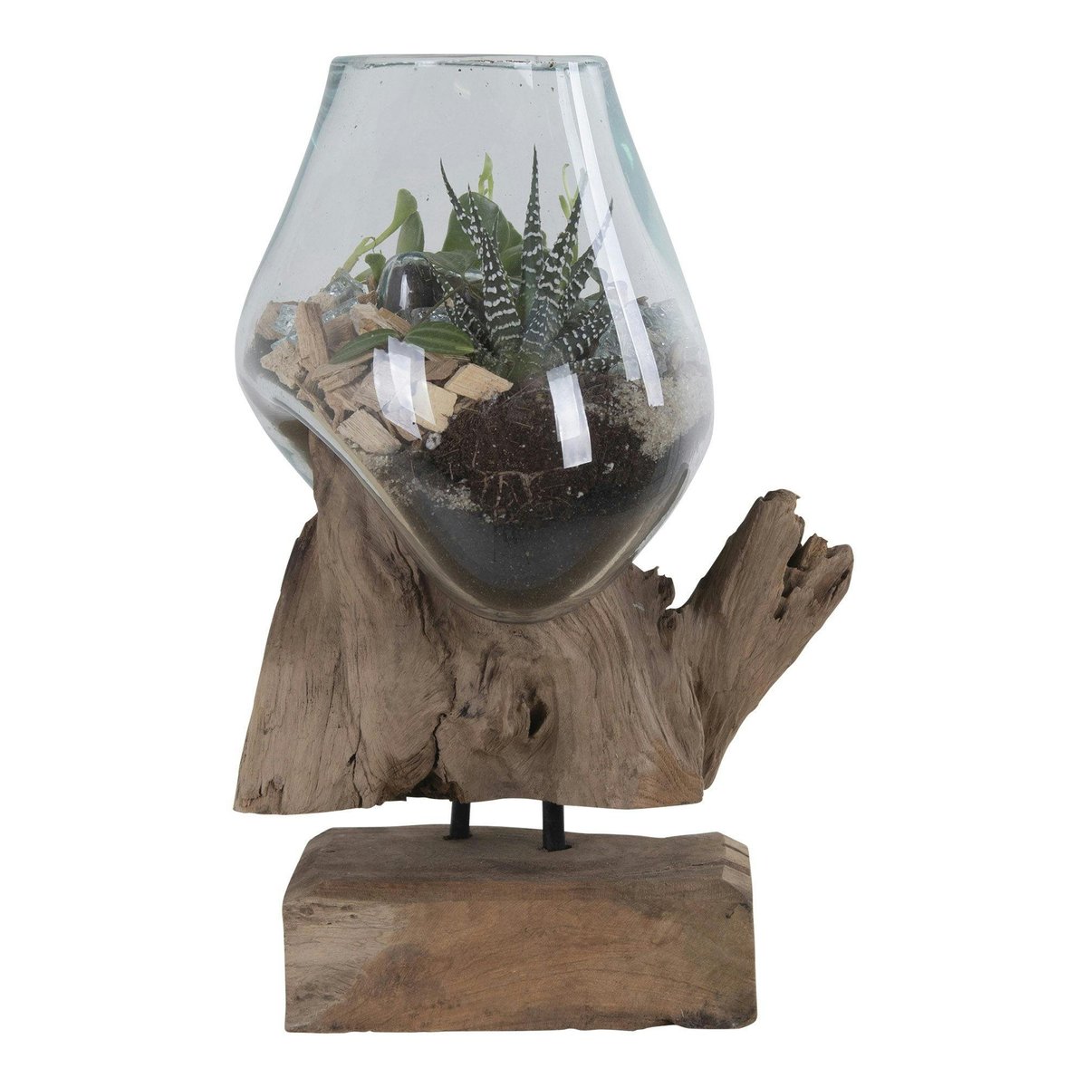 Vase verre soufflé et racine teck, artisanal H 25 cm ARIZONA bois naturel, PIER IMPORT