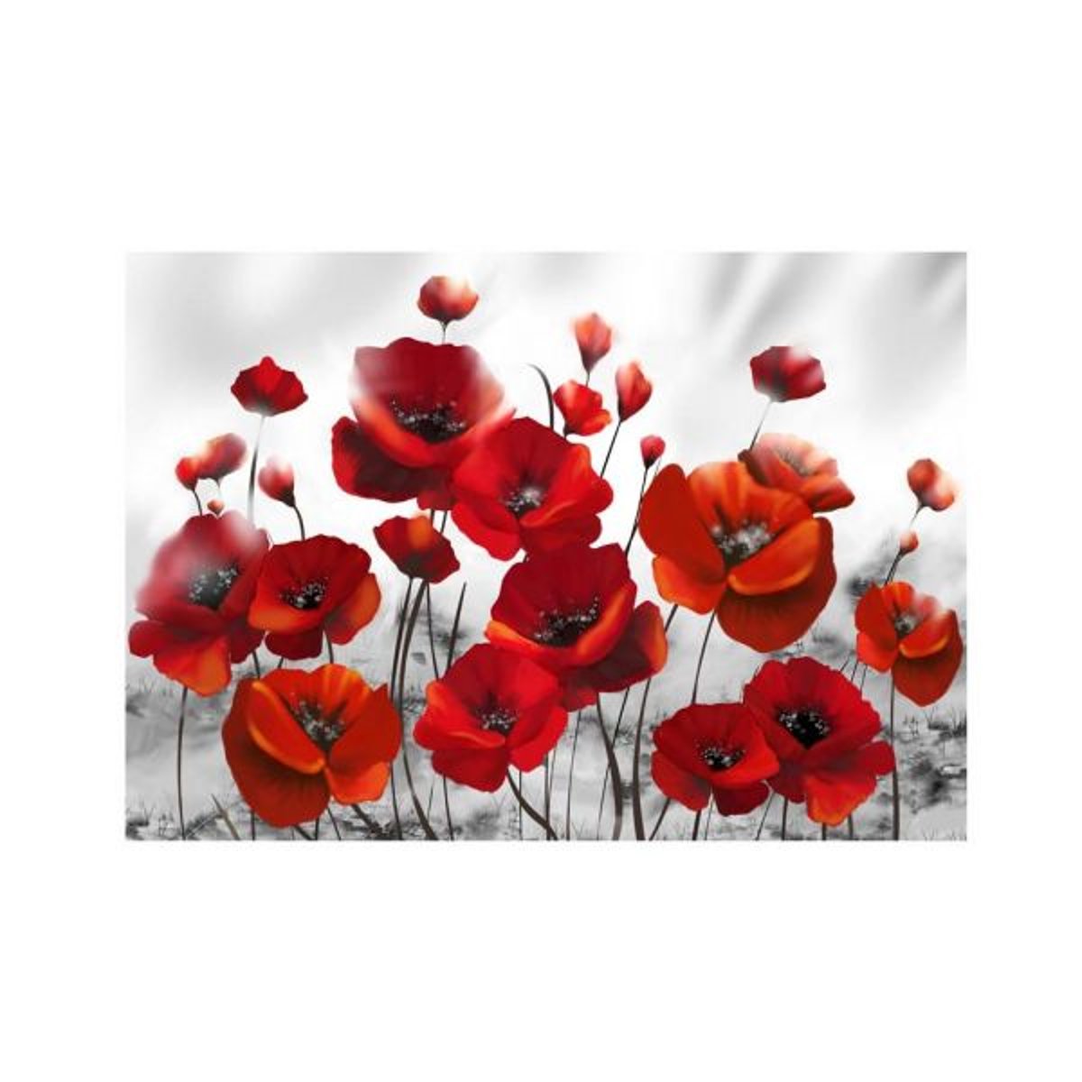 Papier peint intissé panoramique Fleurs Coquelicots dans au clair de lune blanc, EDEN