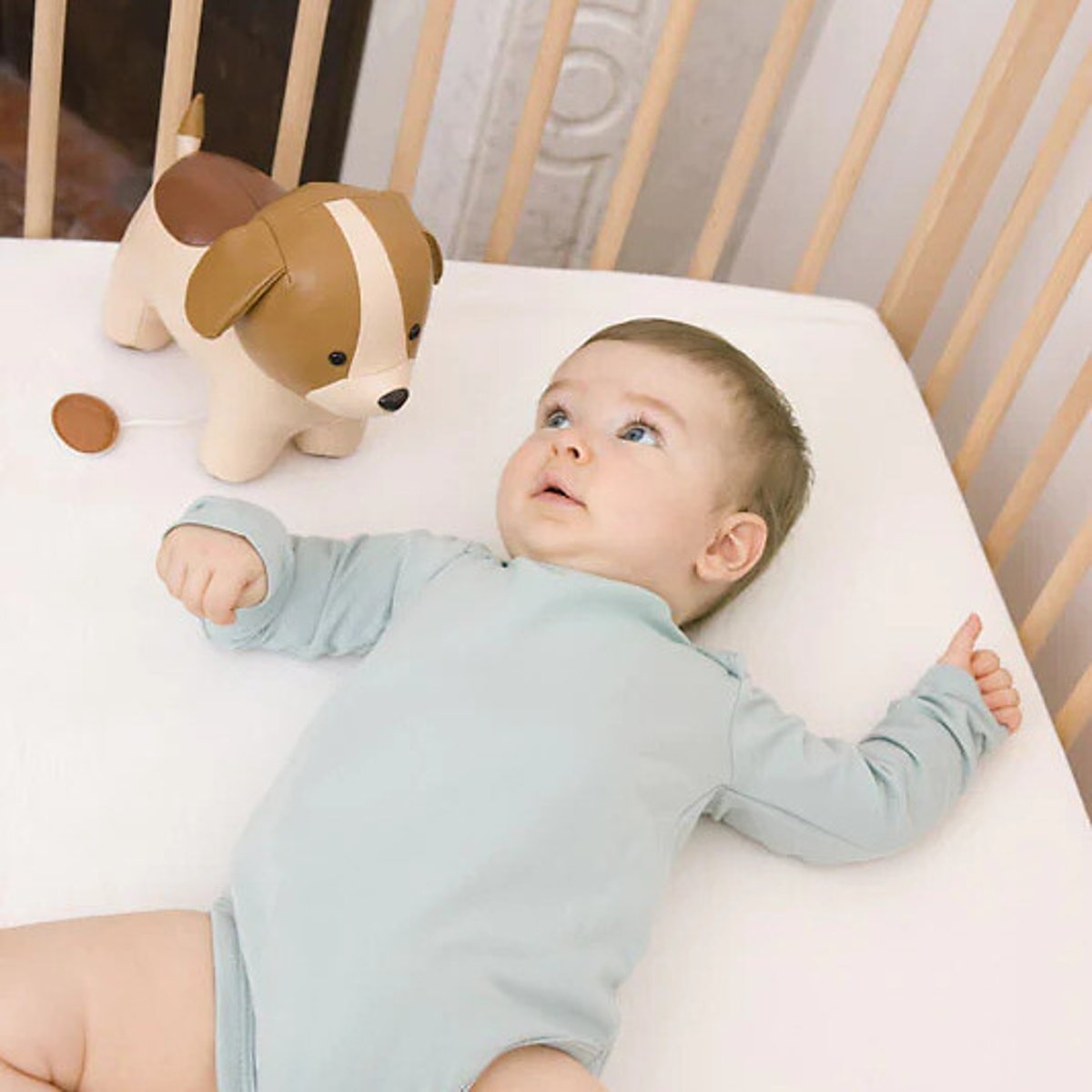 Adrien le Chien musical multicolore, LITTLE BIG FRIENDS