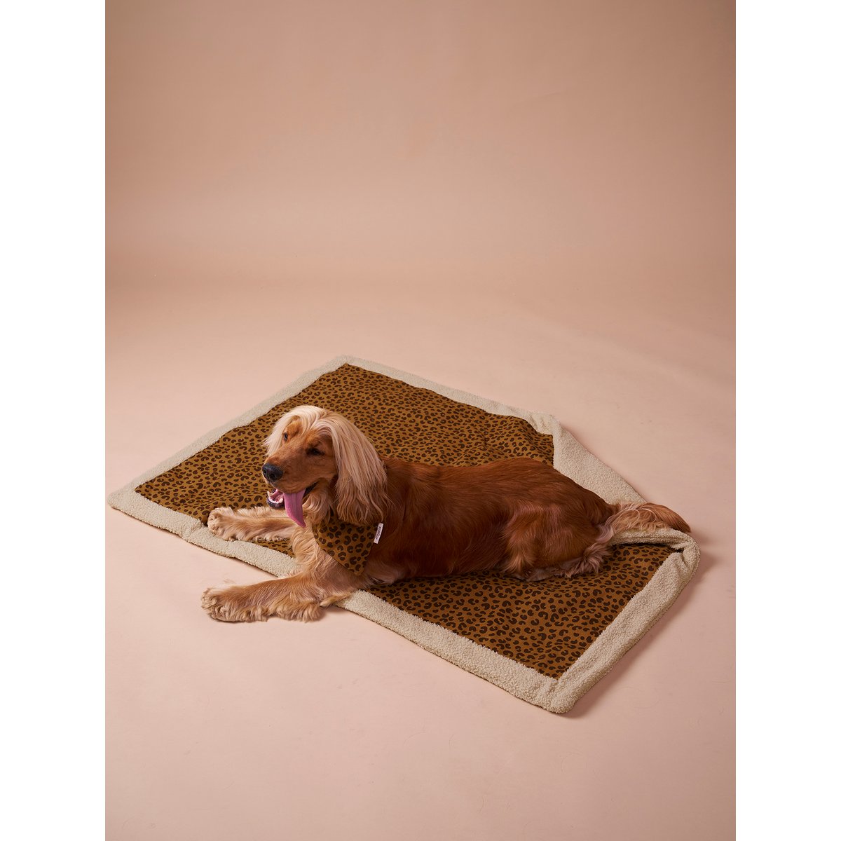 Tapis / plaid nomade pour chien couleur unique, VERTBAUDET