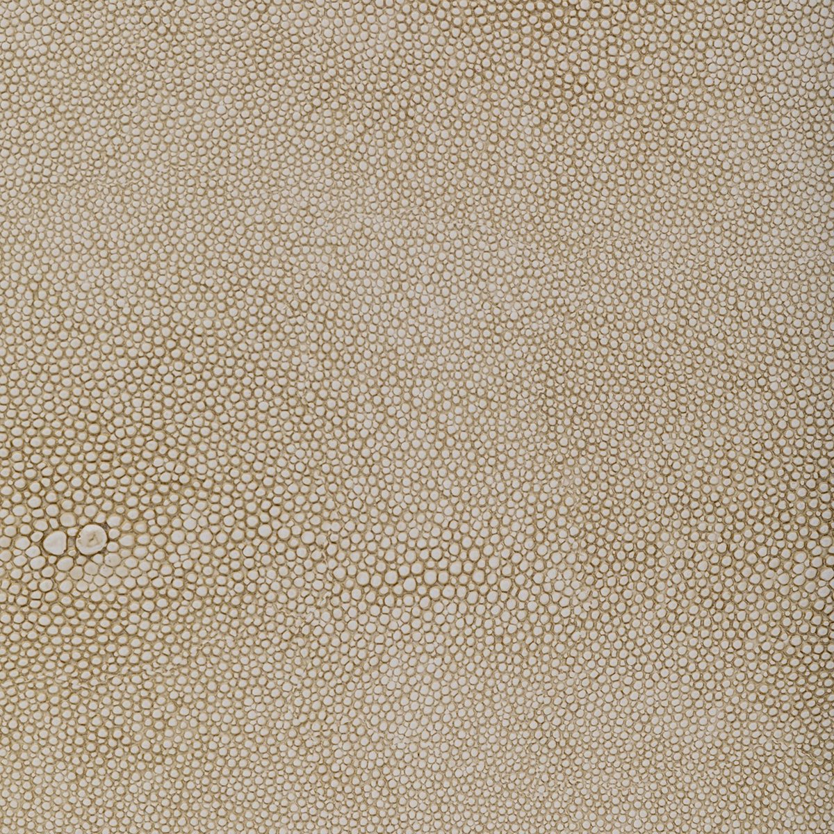 Lot de 3 boîtes hautes en simili cuir, CLASSY beige, KARE DESIGN