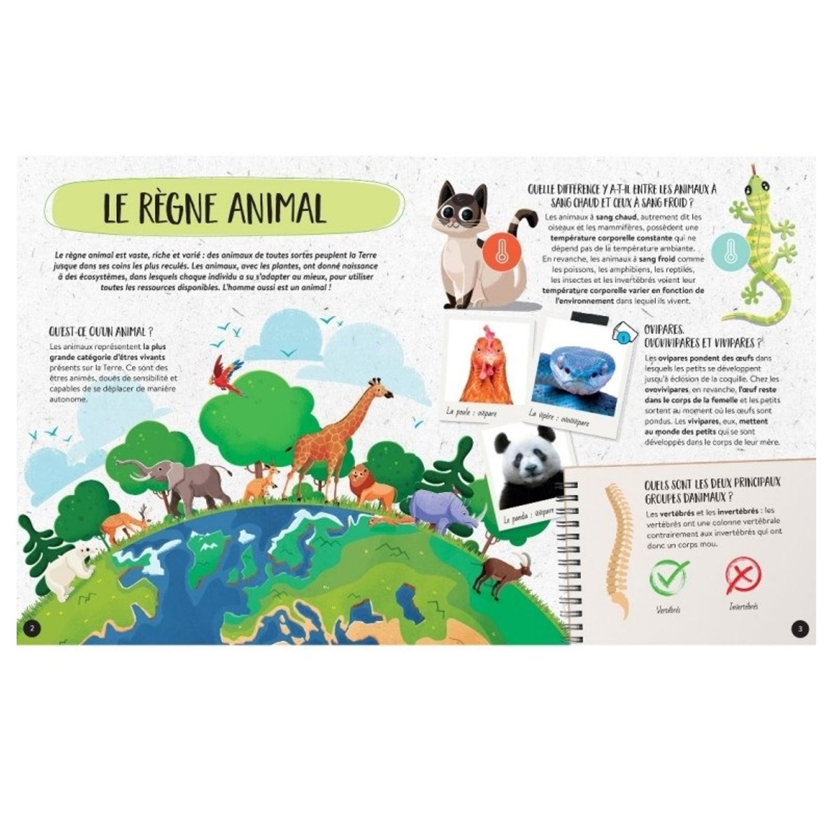 Méga Atlas des Animaux bleu, SASSI JUNIOR