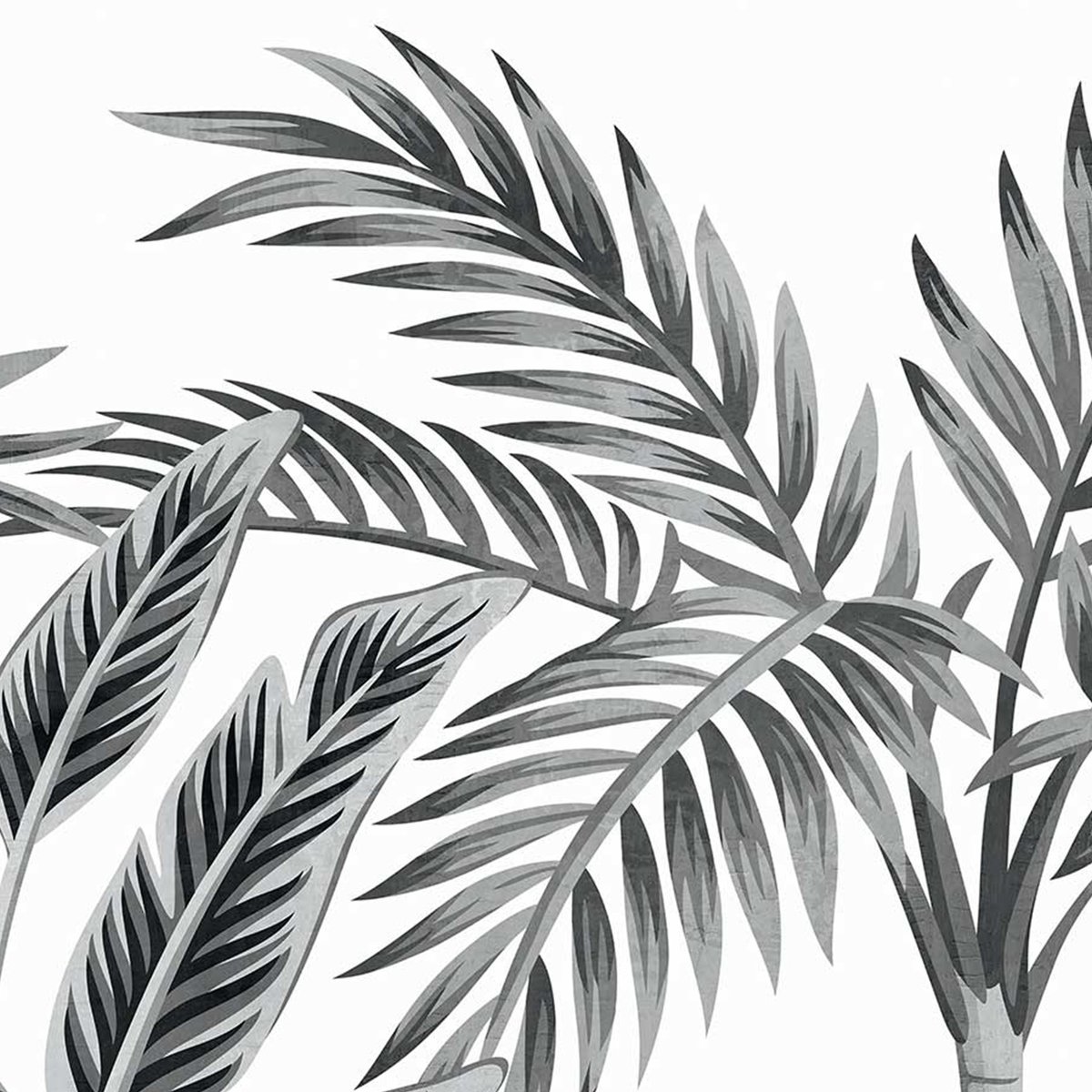 Papier peint rouleau palmeraie noir et blanc, HEXOA