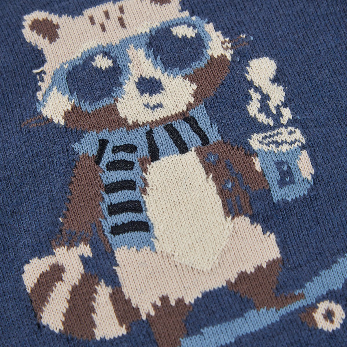 Pull garçon imprimé raton laveur skater bleu, BOBOLI