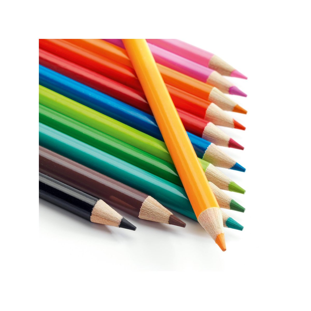 Les couleurs des grands - 12 crayons aquarellables autres, DJECO