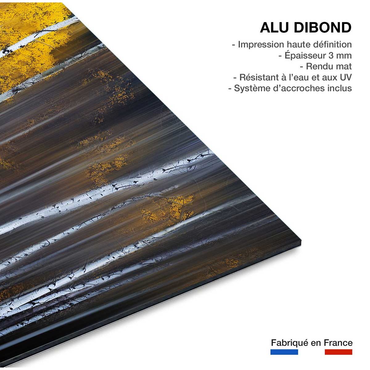 Tableau paysage Rideau d'automne tableau alu dibond, HEXOA