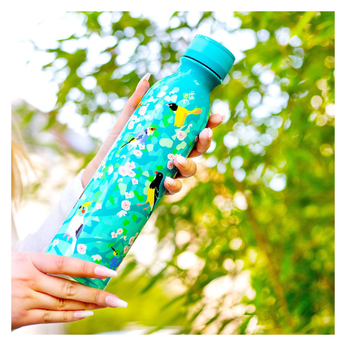 Bouteille isotherme 75 cl  Large Keep Cool Bottle birds, PYLONES