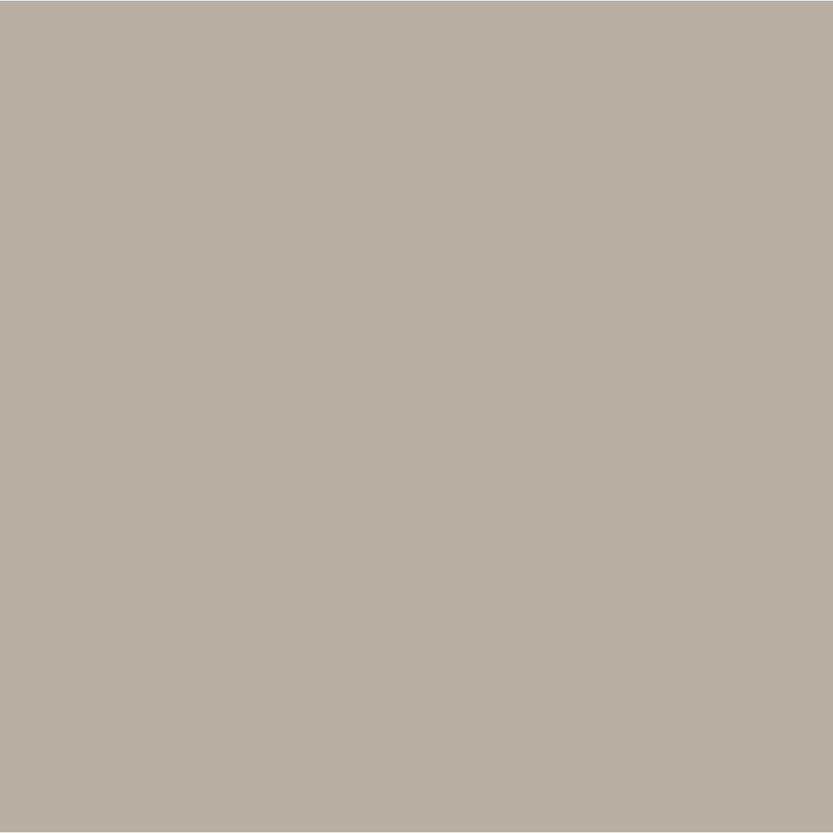 Peinture murale mate lessivable, tous les gris gris pigeon, GRAHAM ET BROWN