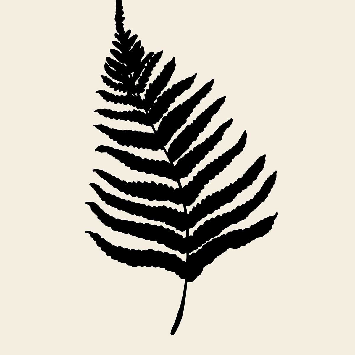 Tableau black fougères tableau alu dibond, HEXOA