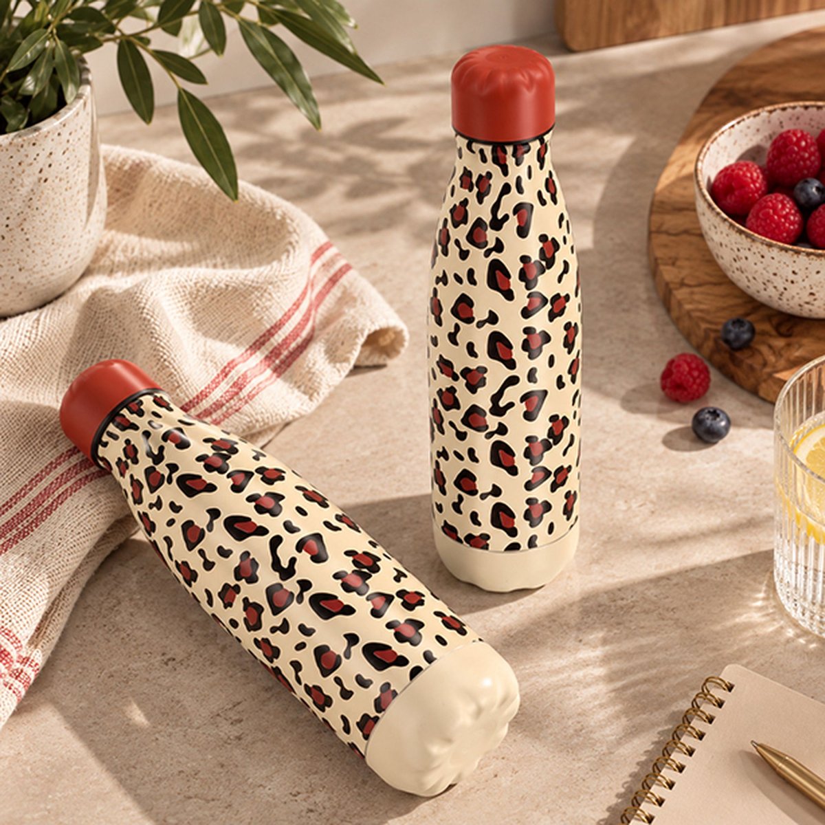 Bouteille 500ml en acier inoxydable, LEOPARD terracotta, NOVASTYL