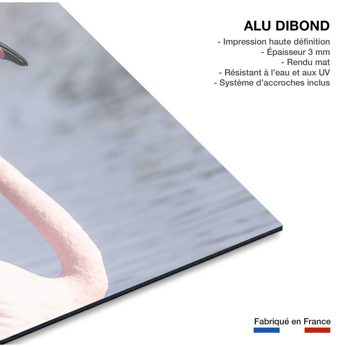Tableau pastel pink flamingo tableau alu dibond, HEXOA