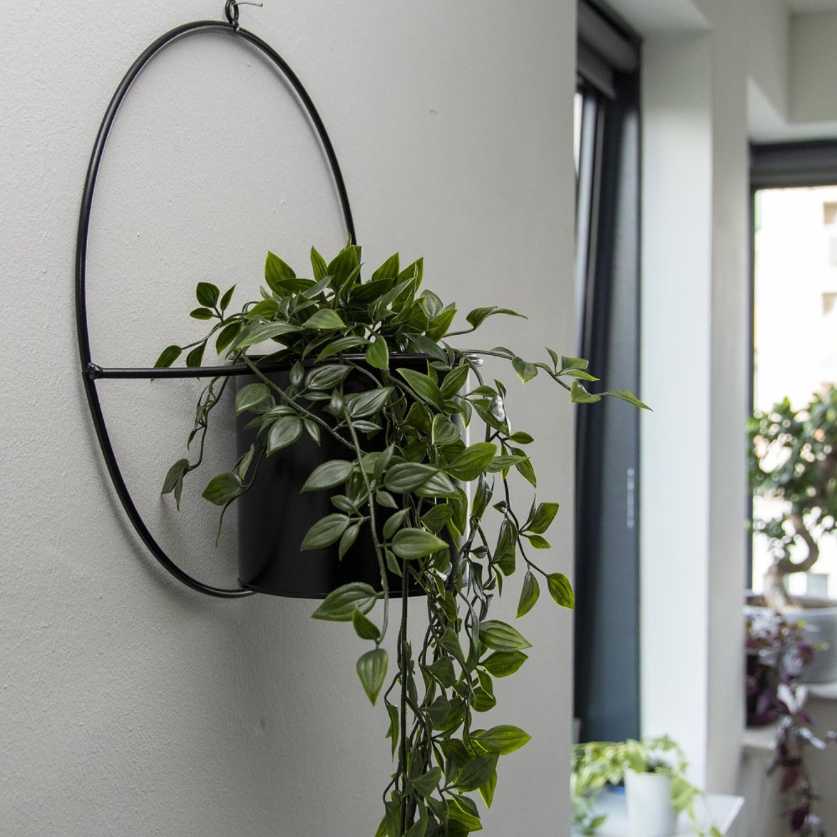 Jardinière déco ronde d'intérieur en métal noir Fixation murale noir, JARDINDECO