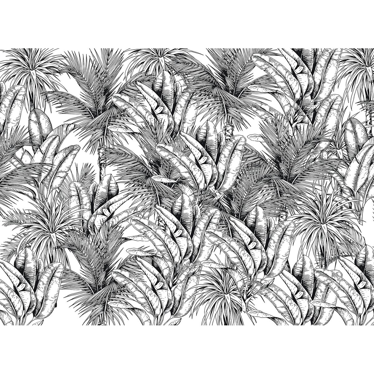 Papier peint panoramique feuilles de bananiers n&b intissé, HEXOA