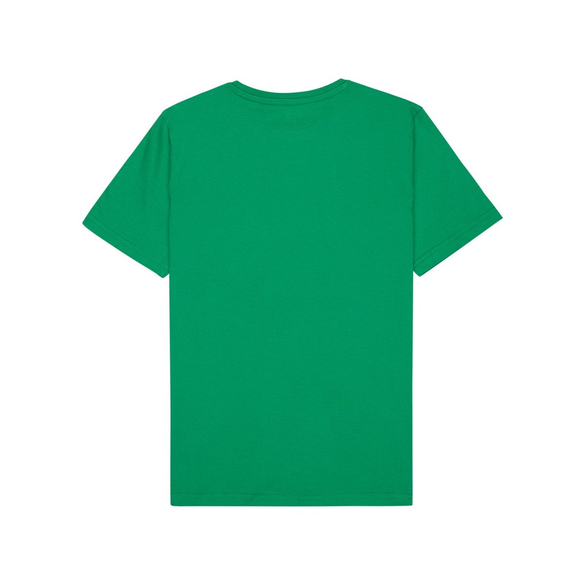 T-Shirt à manches courtes EV CORPO CLASSIC vert leprechaun, QUIKSILVER