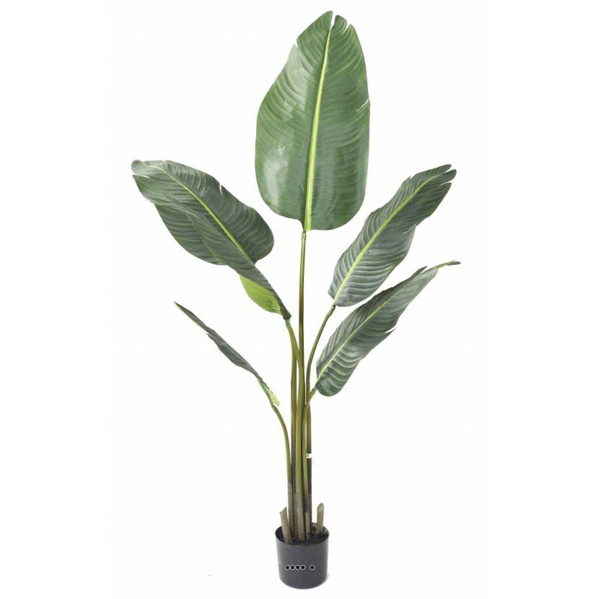 Palmier Arbre du voyageur artificiel H 135 cm v002239, ARTIFICIELLES