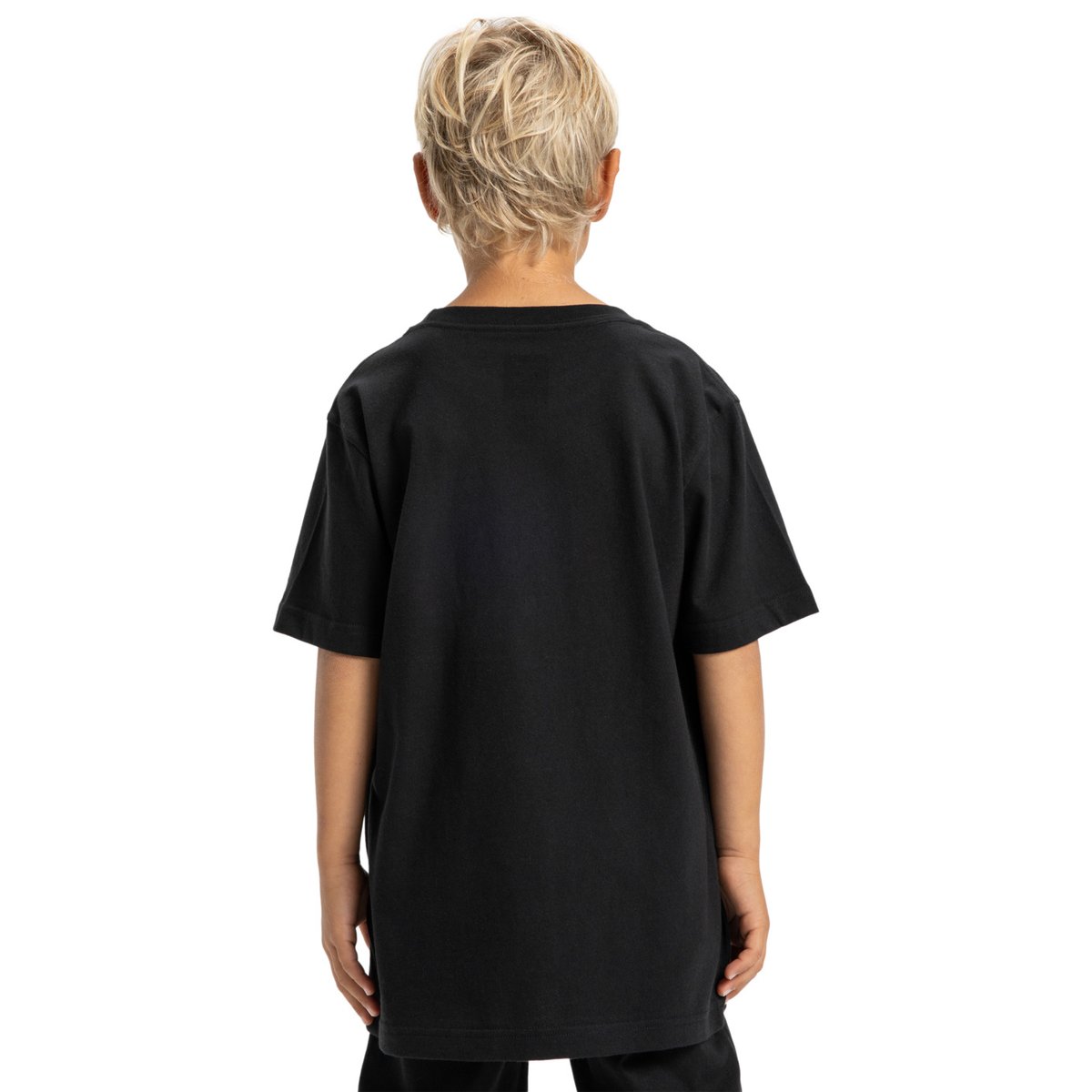 T-shirt à manches courtes. noir black, DC SHOES