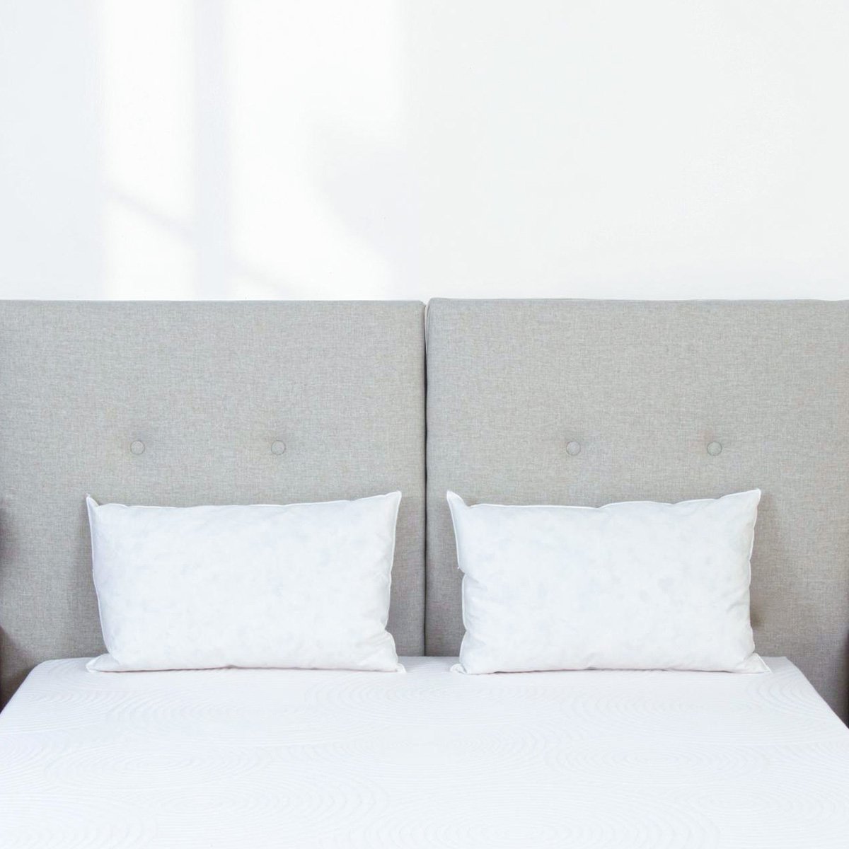 Oreiller Plumes et duvet NATURA blanc, BELLECOUR