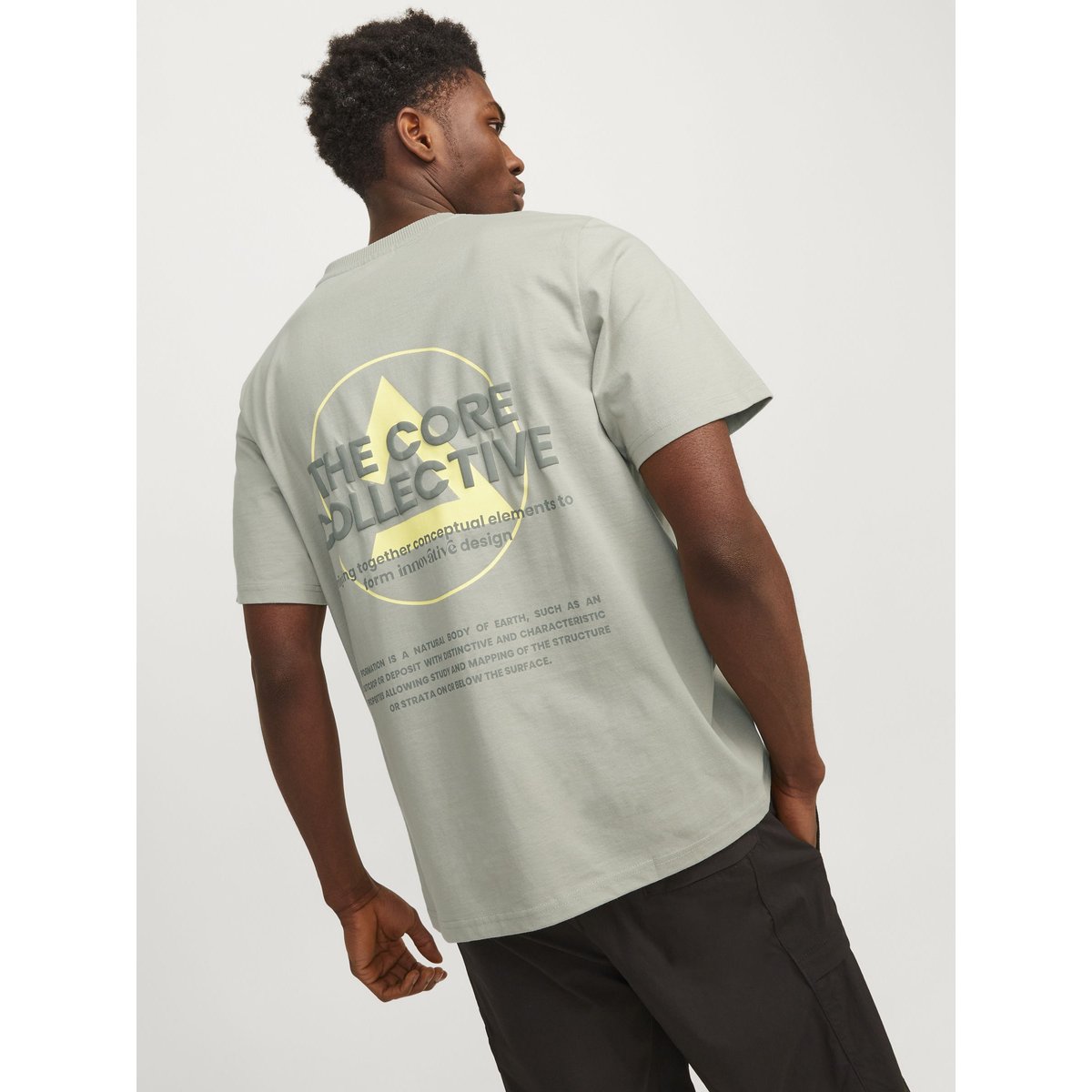 T-Shirt T-shirt Imprimé desert sage, JACK & JONES