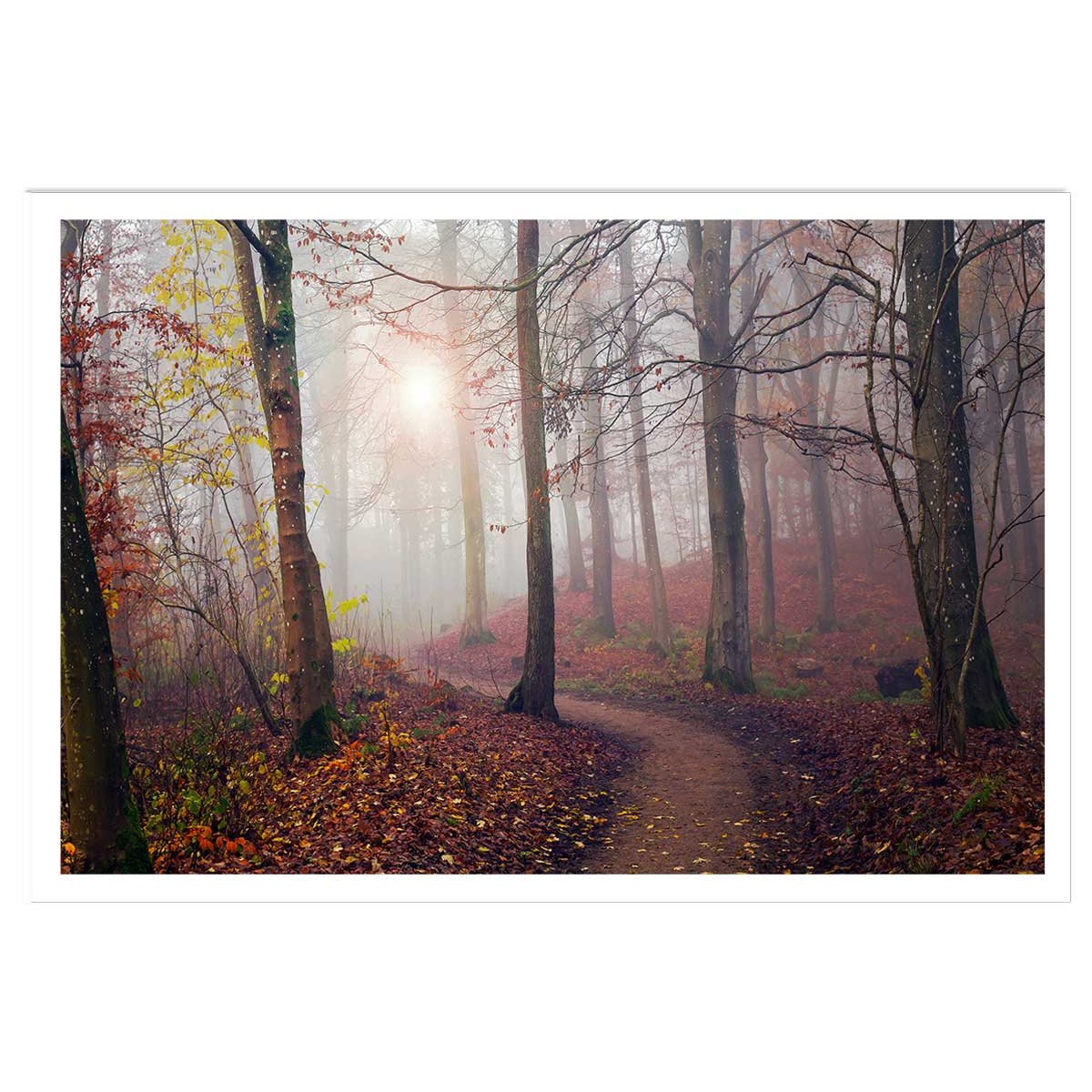 Affiche l'arbre et l'automne jaune affiche seule, HEXOA