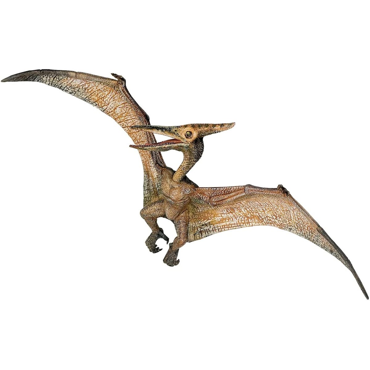 Figurine Ptéranodon marron, PAPO