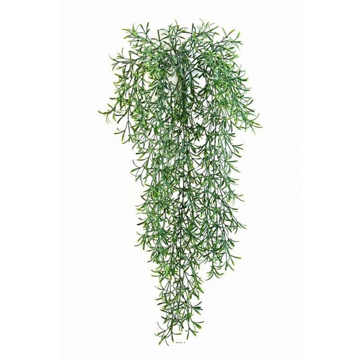 Feuillage factice Asparagus Sauvage en v002239, ARTIFICIELLES