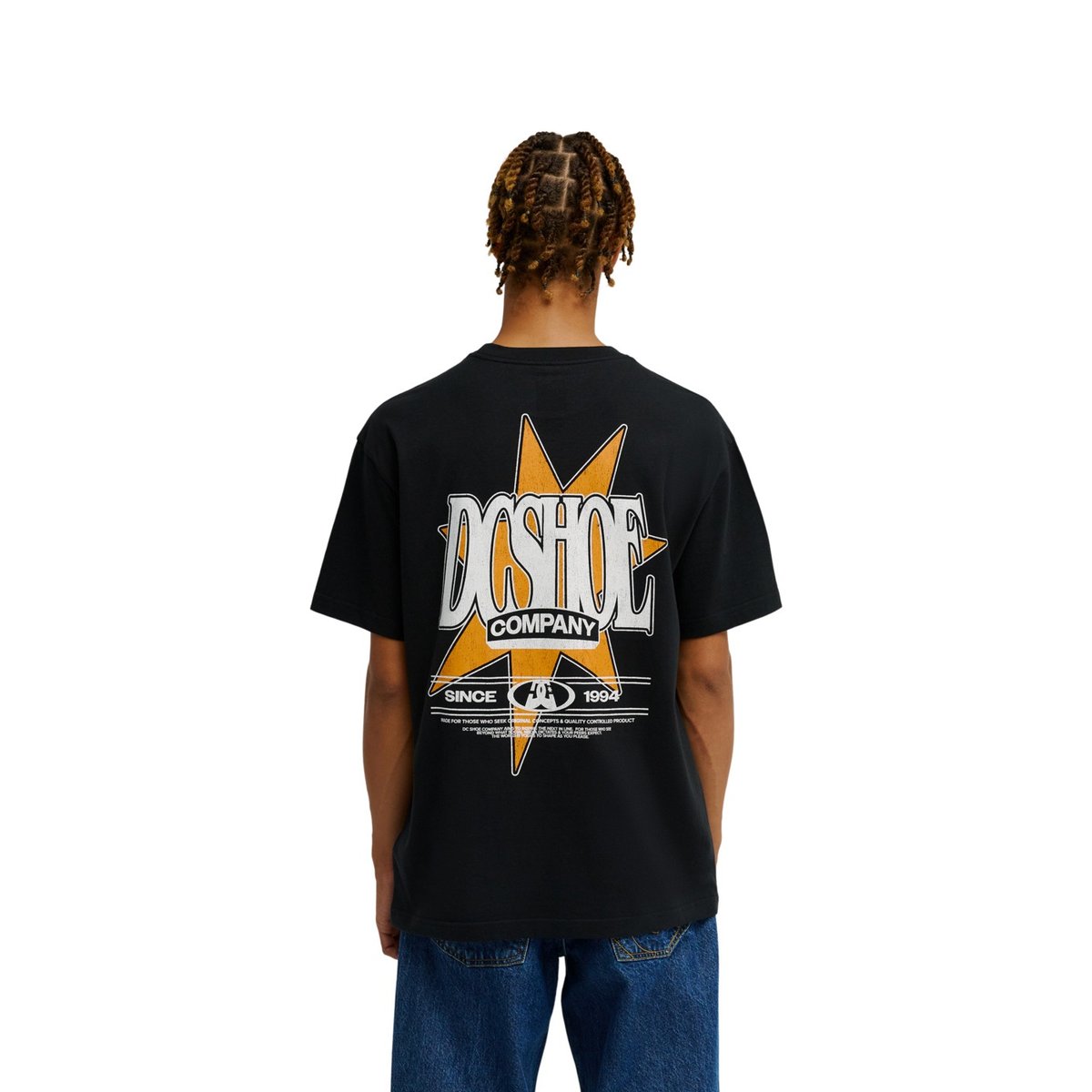 T-Shirt manches courtes. noir black, DC SHOES