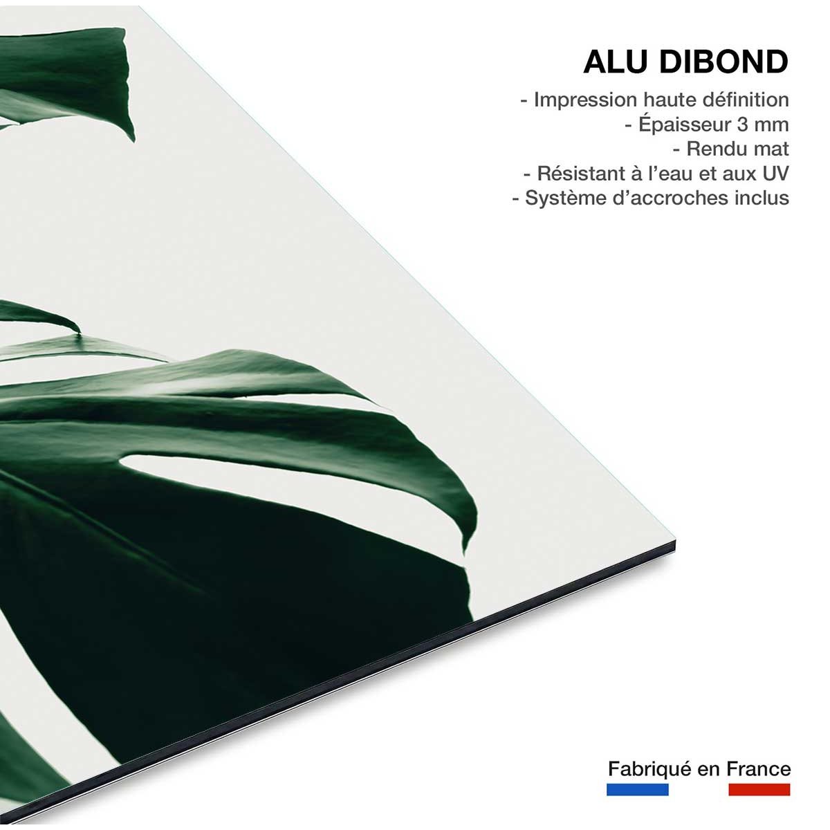 Tableau monstera due tableau alu dibond, HEXOA