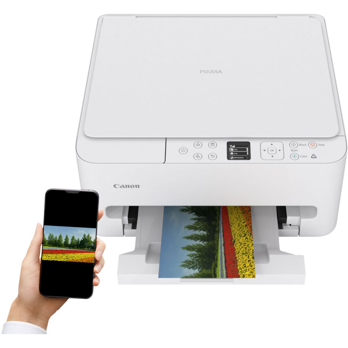Imprimante jet d'encre PIXMA TS6550i WH couleur unique, CANON