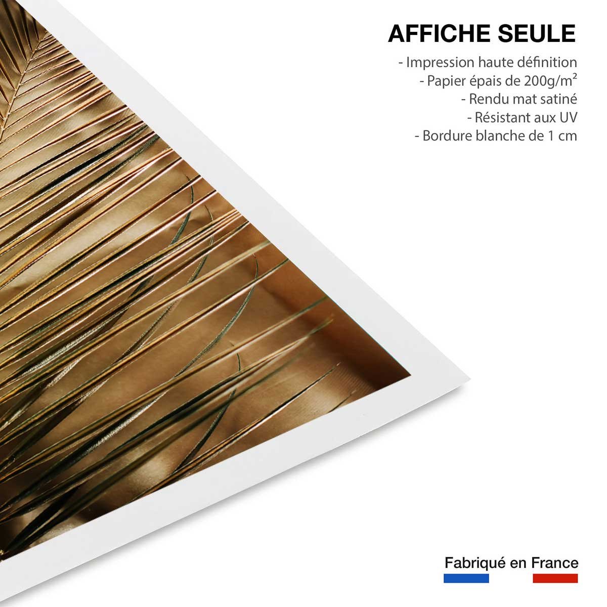 Affiche déco golden palm affiche seule, HEXOA