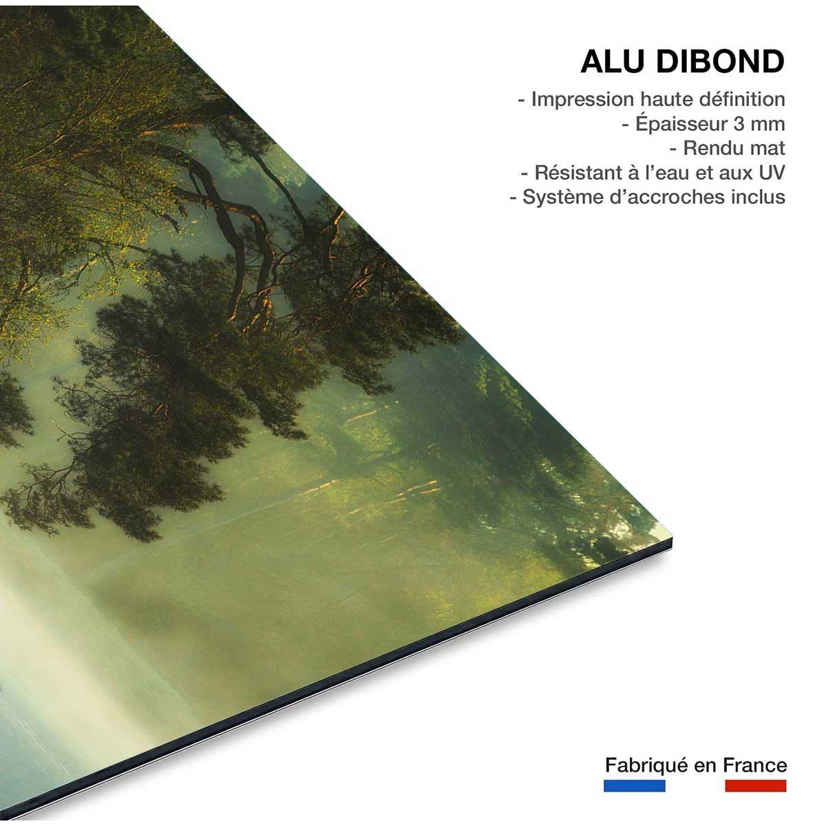 Tableau paysage marais neerlandais tableau alu dibond, HEXOA