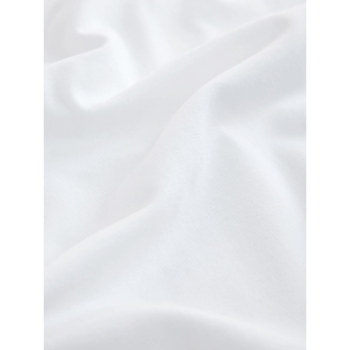 T-shirt ras du cou à manches courtes/fleurs blanc, NEXT