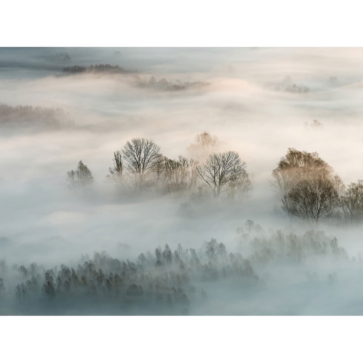Papier peint panoramique la toscane sous la brume intissé, HEXOA