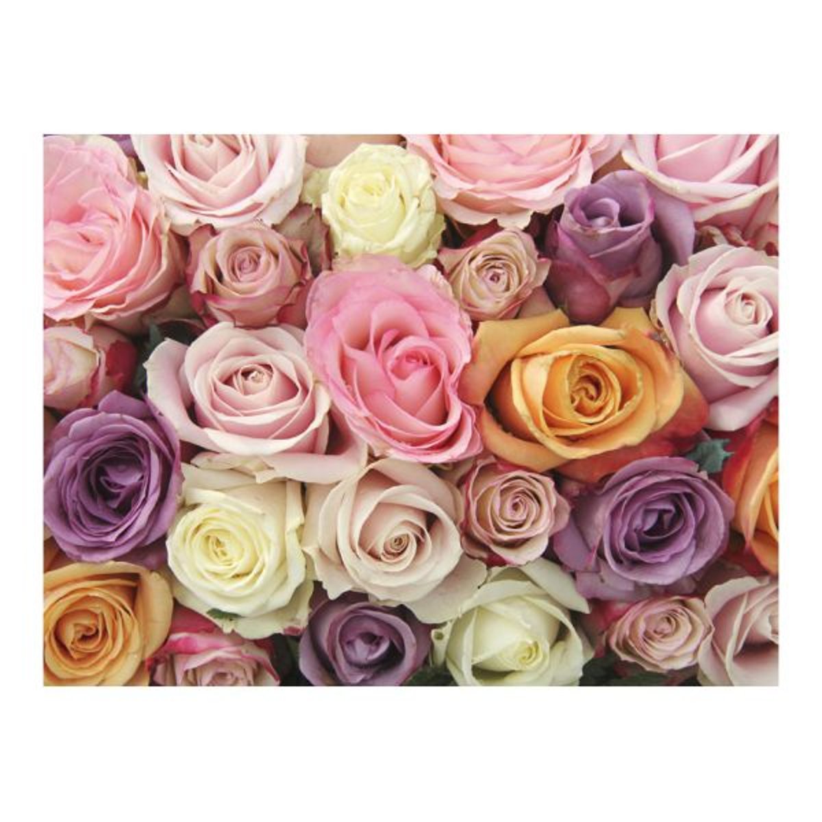 Papier peint intissé panoramique Fleurs Pastel roses multicouleur, EDEN