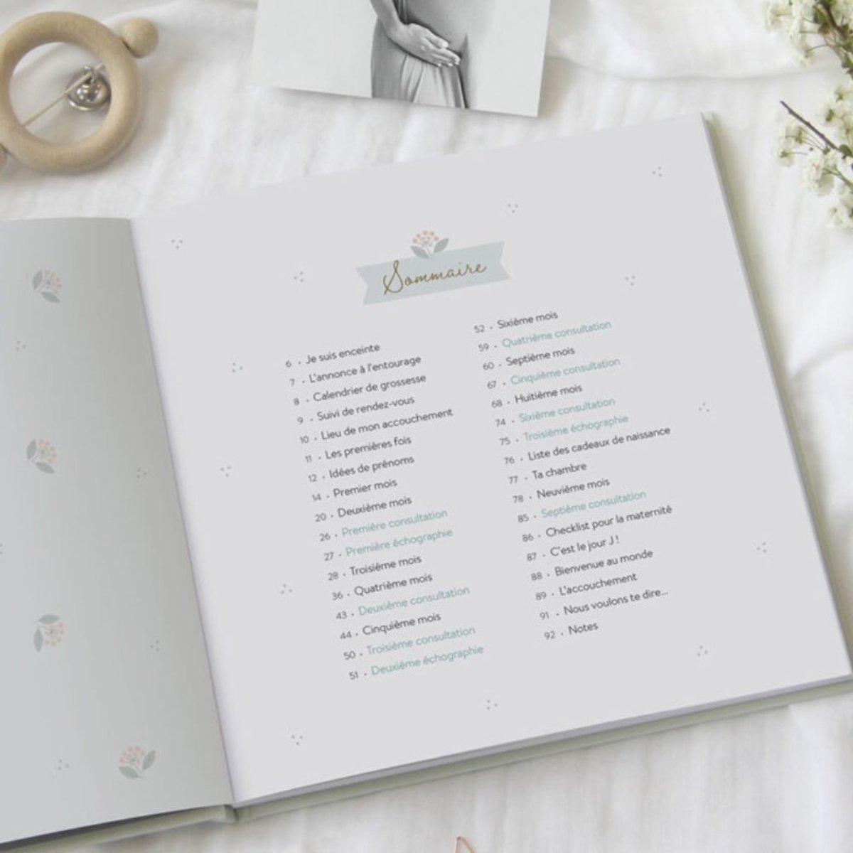 Journal de grossesse ecru, ZÜ