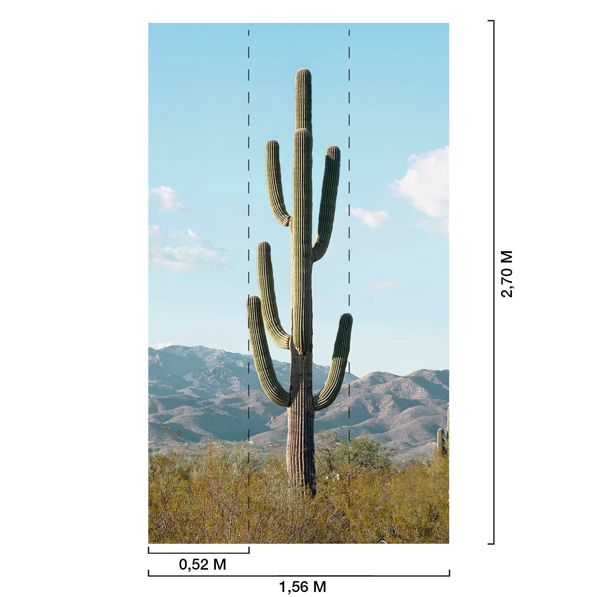 Papier peint jungle cactus mexico intissé, HEXOA