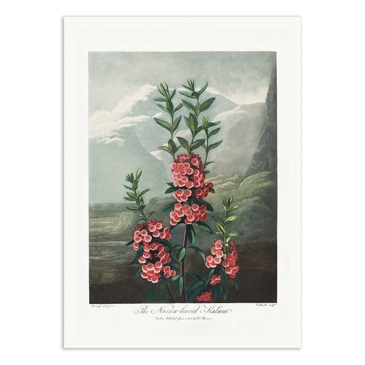 Affiche d'art - The Narrowa - Robert John Thornton couleur unique, WALL EDITIONS