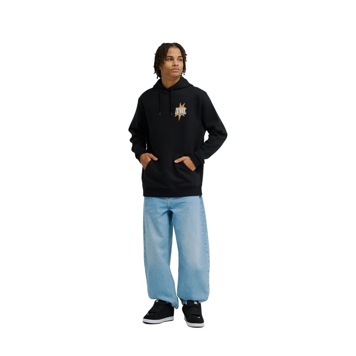 Sweat capuche. noir black, DC SHOES