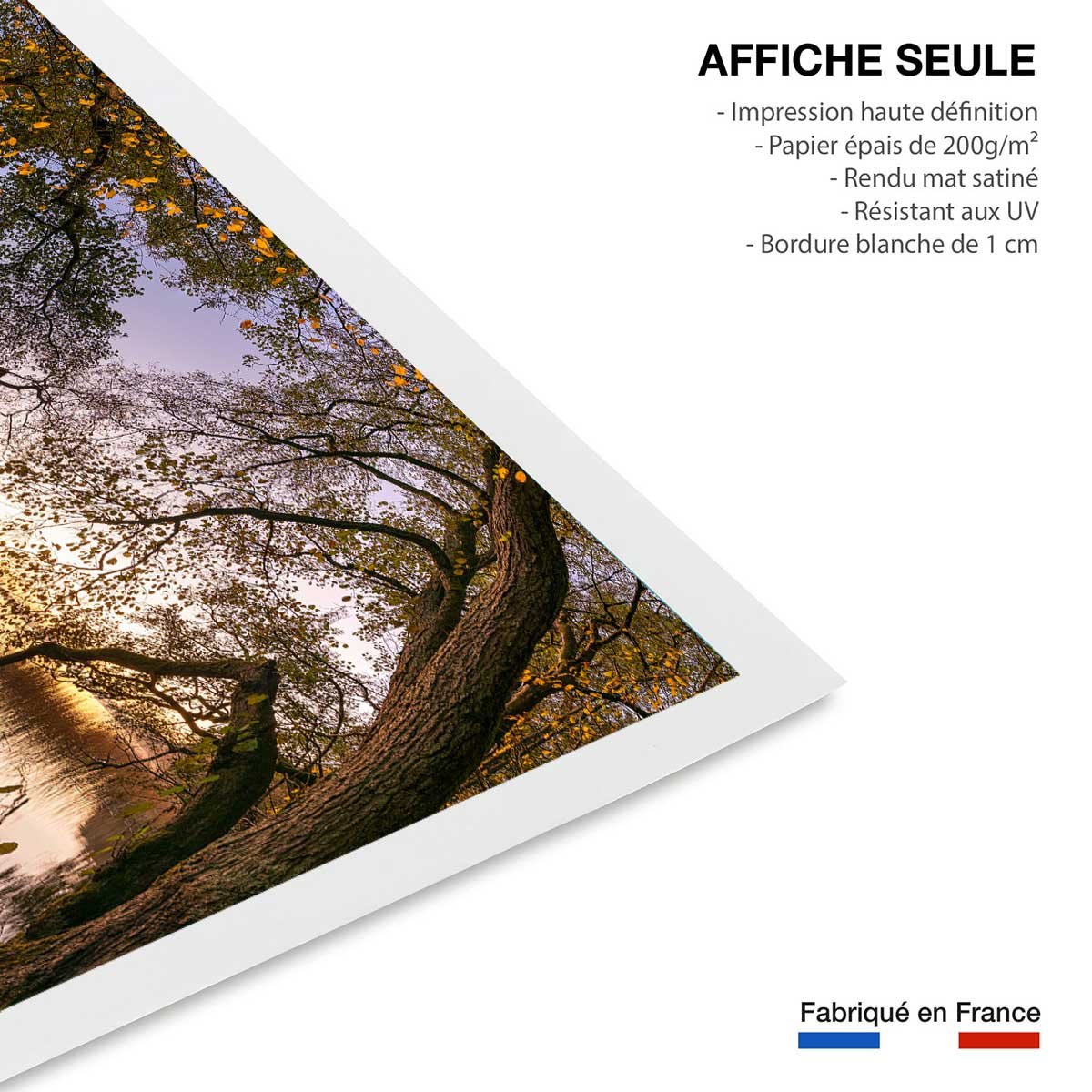 Affiche Au bout du lac, le saut affiche seule, HEXOA