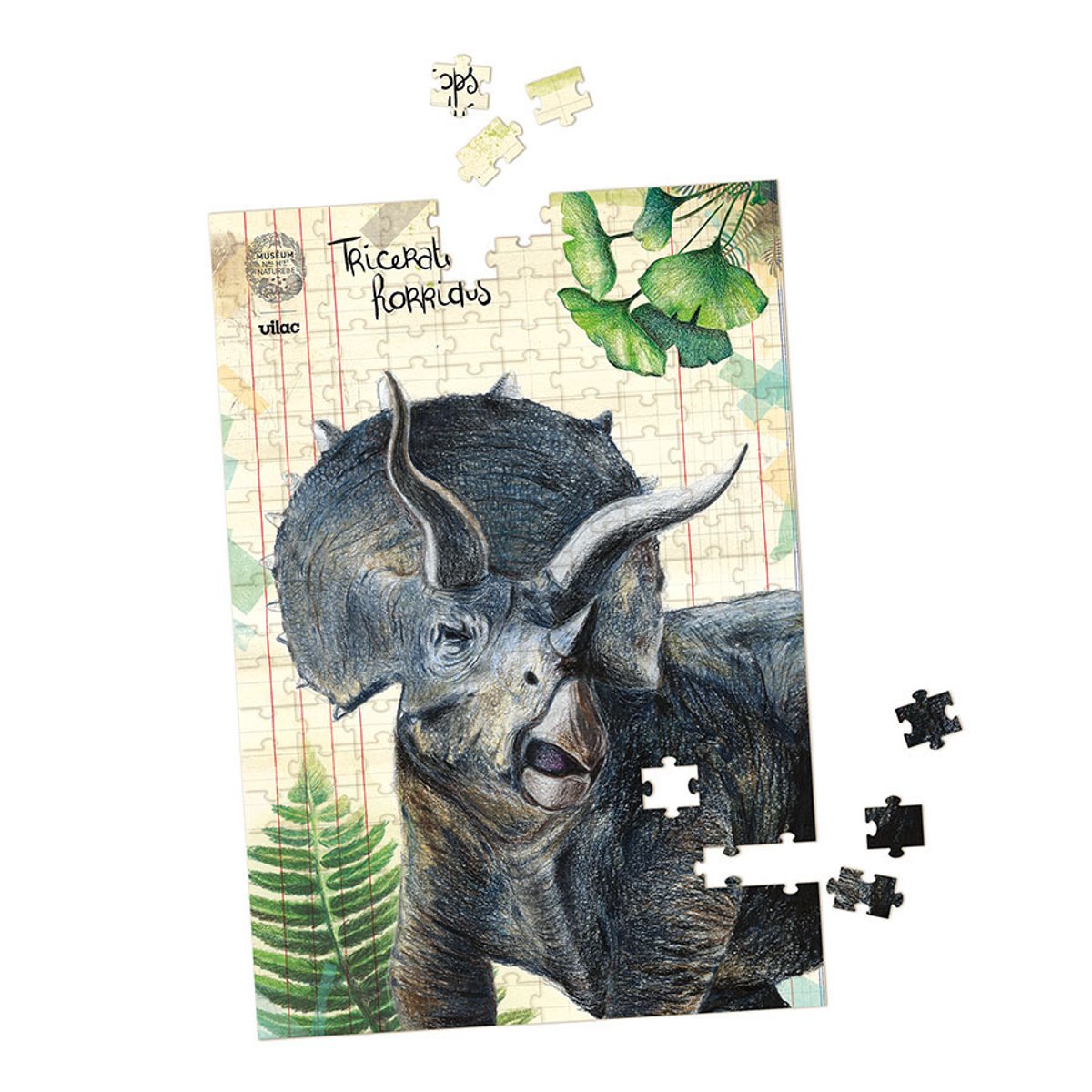 Coffret 3 puzzles dinosaures et posters beige, VILAC