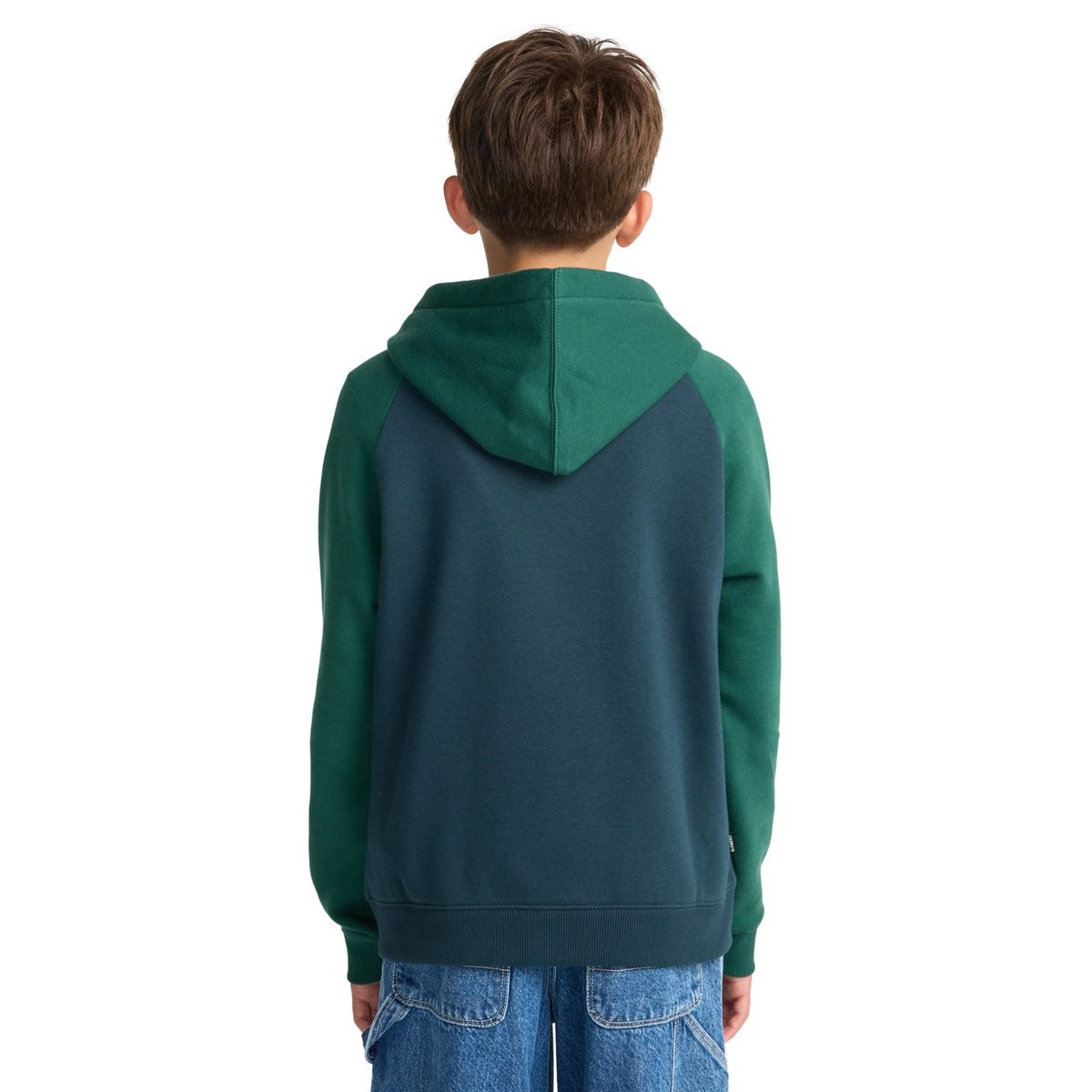 Sweat à capuche ICON EMBROIDERY 2TONE Y bleu magical forest, ELEMENT